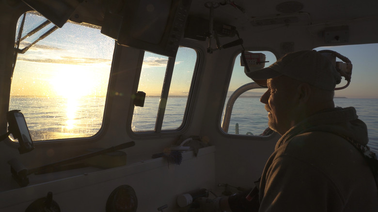 кадр из фильма Lobster War