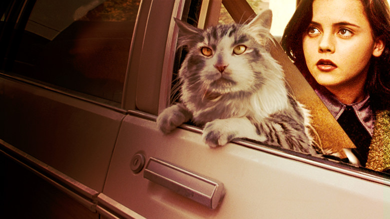 кадр из фильма Эта дикая кошка