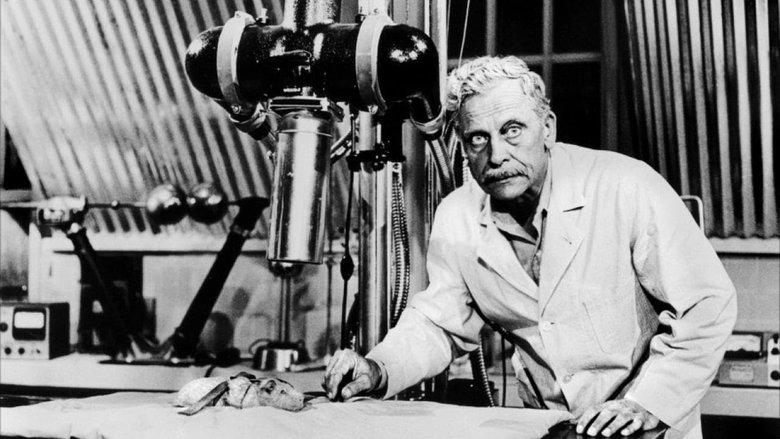 кадр из фильма The Amazing Transparent Man