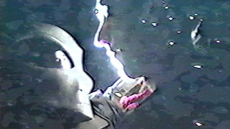 кадр из фильма Suroh: Alien Hitchhiker