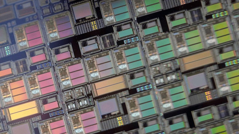 кадр из фильма La guerre des puces