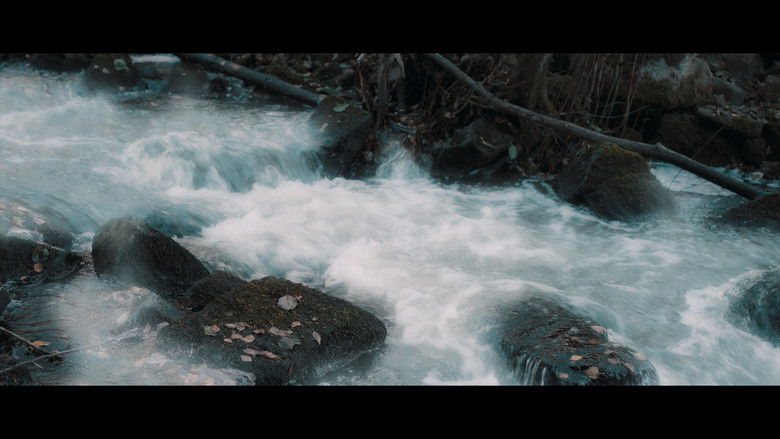 кадр из фильма Aerindor: The silent sacrifice