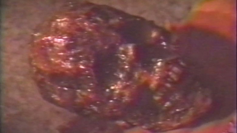 кадр из фильма City of the Vampires