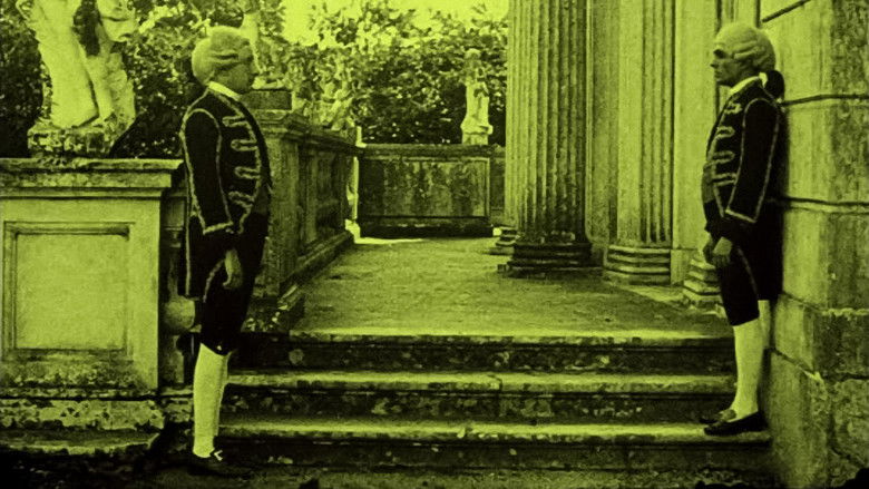 кадр из фильма Malmequer