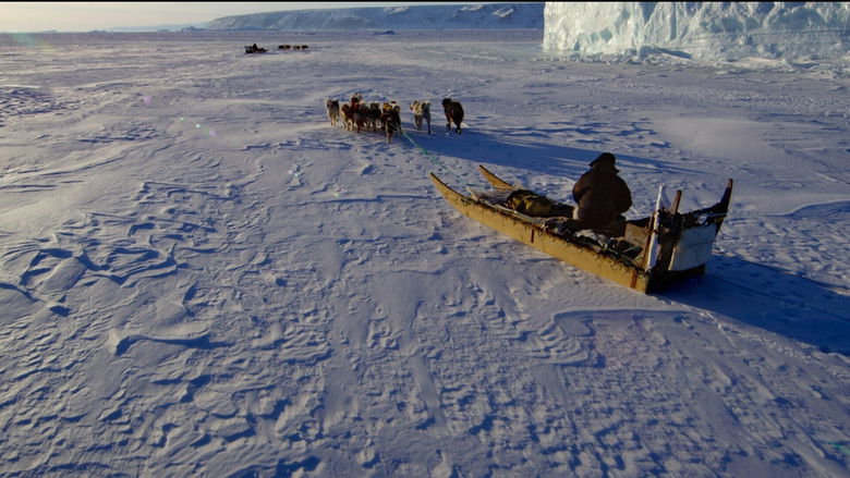 кадр из фильма The Last Ice