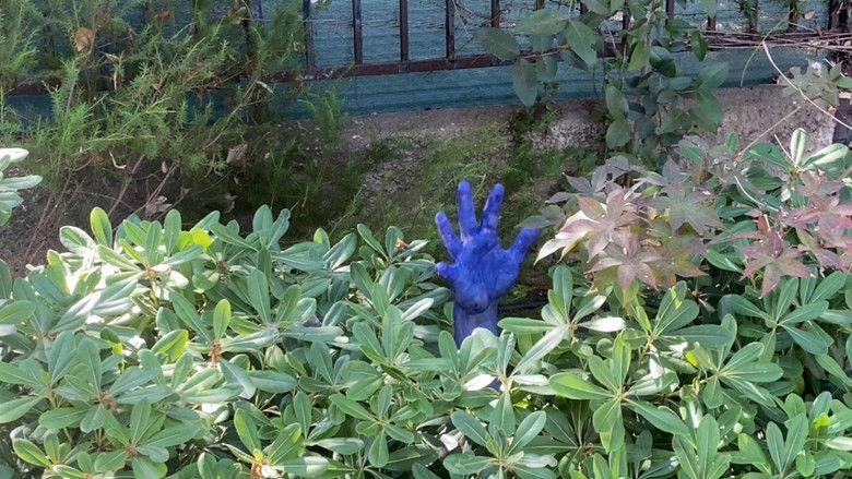 кадр из фильма Where Is The Cat's Tail?