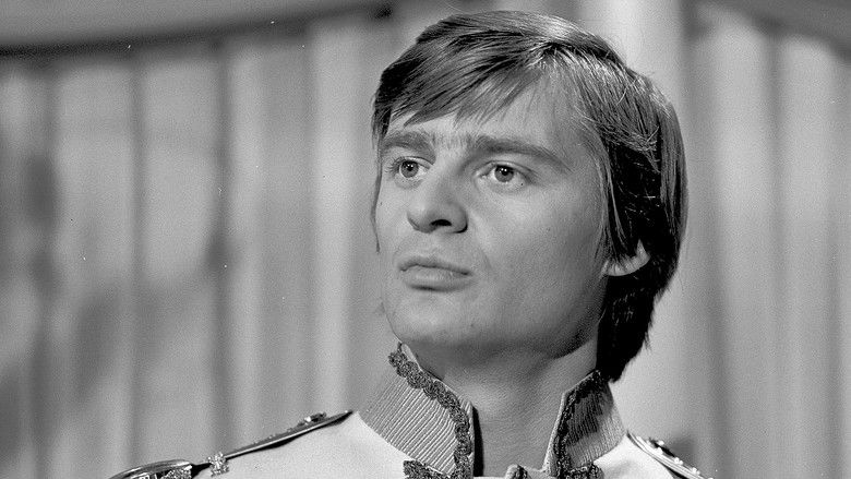 кадр из фильма A nebojíš se, princezničko?