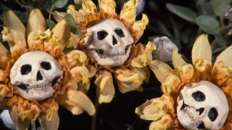 кадр из фильма Кровавый чай и красная ниточка