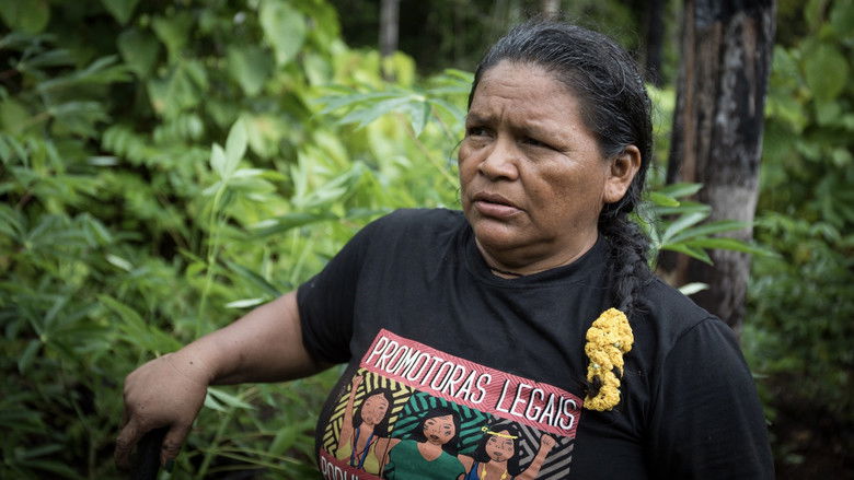 кадр из фильма Guardians of the Rainforest