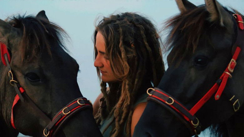 кадр из фильма Magie der Wildpferde