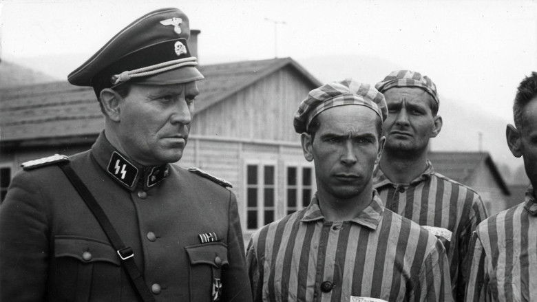 кадр из фильма Последний свидетель