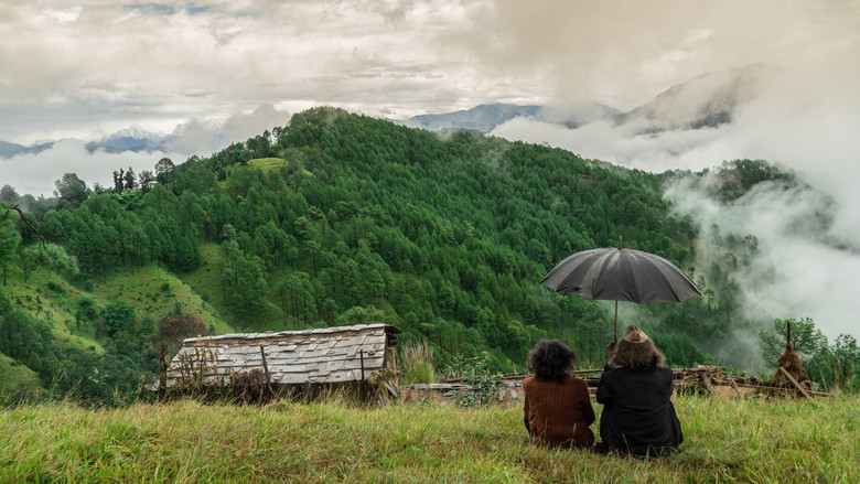 кадр из фильма Pyre