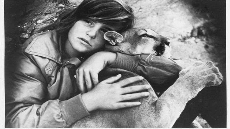 кадр из фильма The Trap on Cougar Mountain