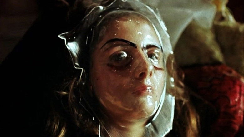 кадр из фильма Господин оформитель