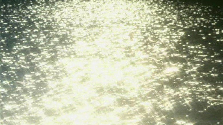 кадр из фильма O Território