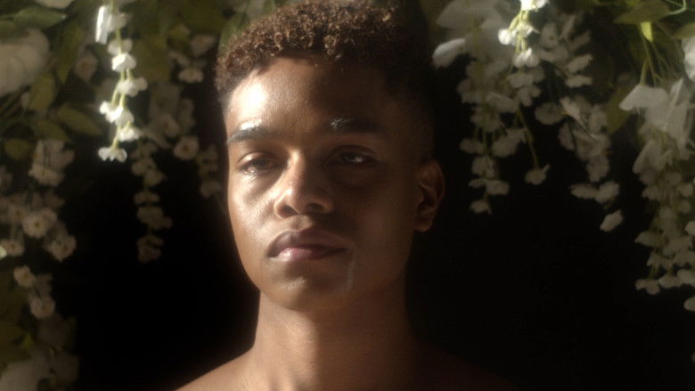 кадр из фильма PERDÓN