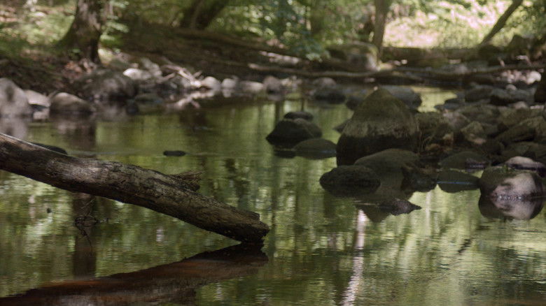 кадр из фильма The Stream