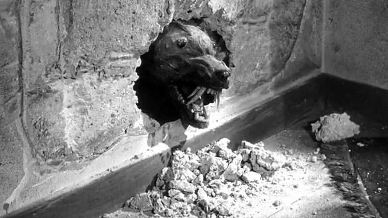 Землеройки-убийцы