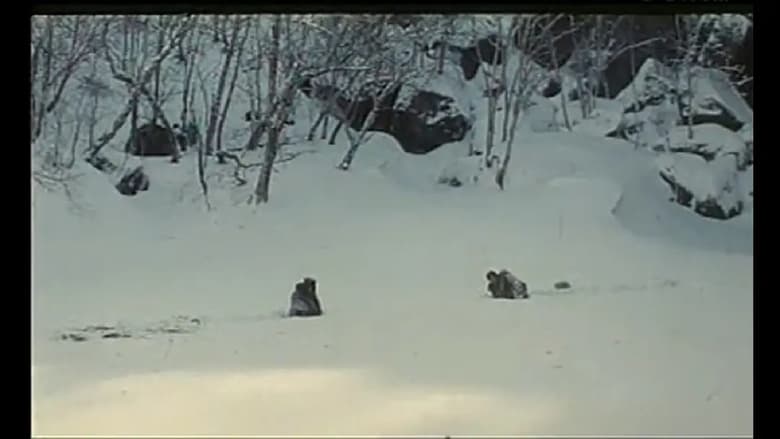 кадр из фильма 火狐