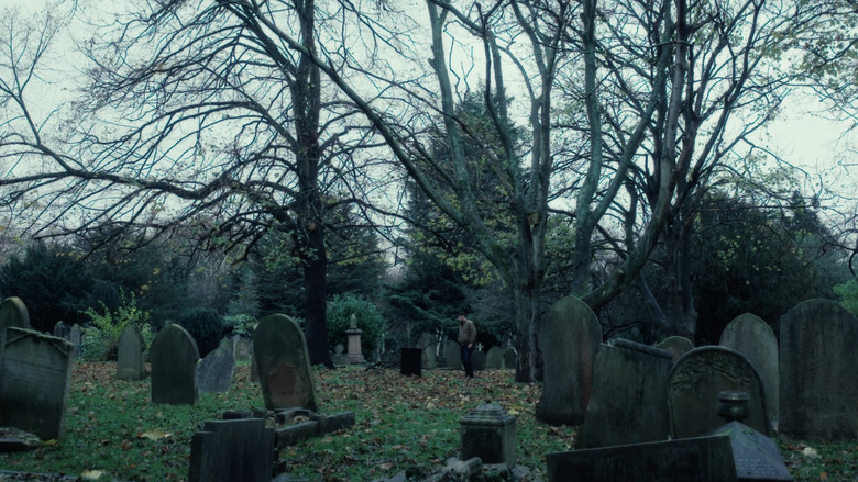 кадр из фильма Marion's Lilies