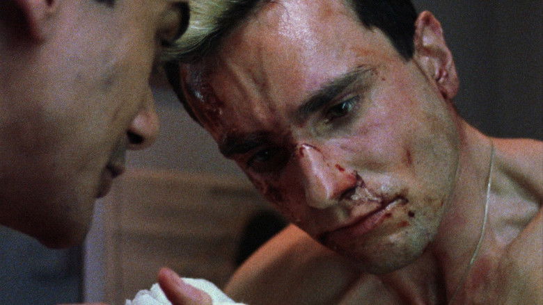 кадр из фильма Моя прекрасная прачечная