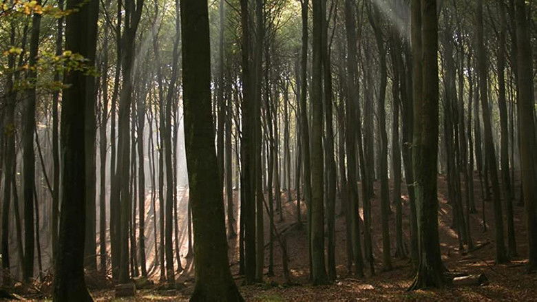 кадр из фильма Ostseeparadies Rügen