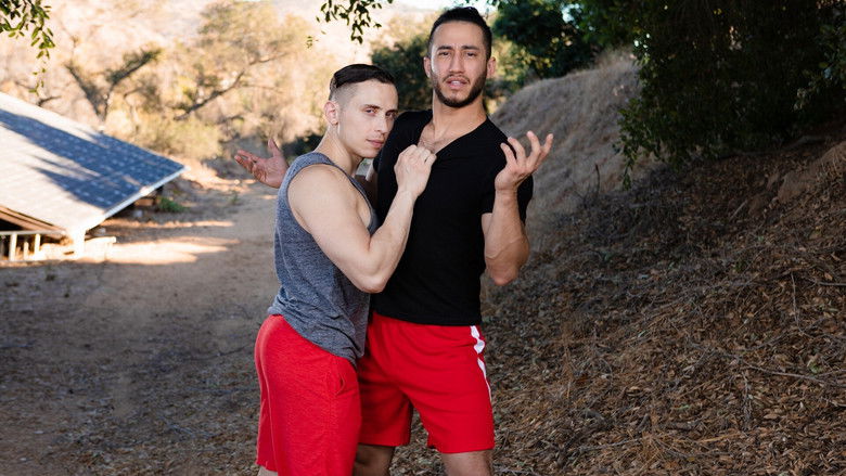 кадр из фильма Step-Brother Affairs