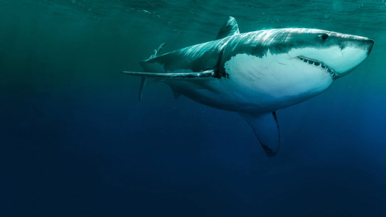 кадр из фильма Захватчики побережья