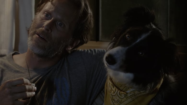 кадр из фильма A Dog Named Duke