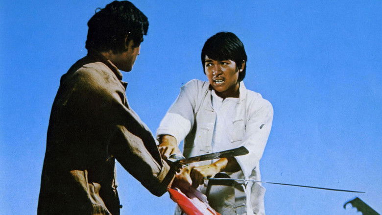 кадр из фильма 小霸王