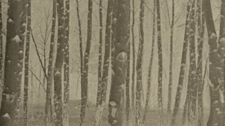 кадр из фильма Фільм, присвячений воді та деревам