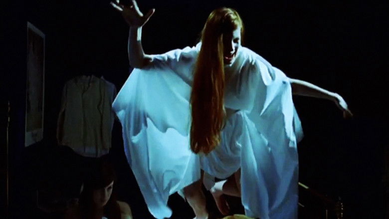 кадр из фильма Vidiots