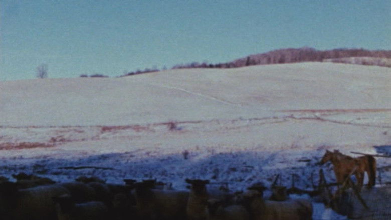 кадр из фильма Horizons