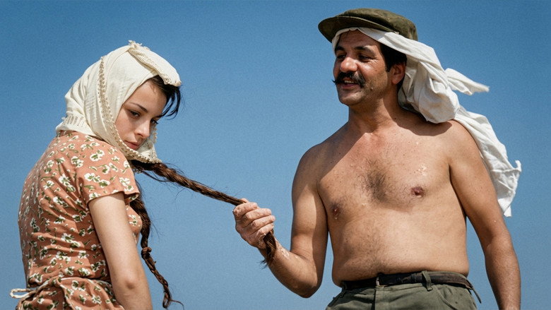 кадр из фильма Засушливое лето