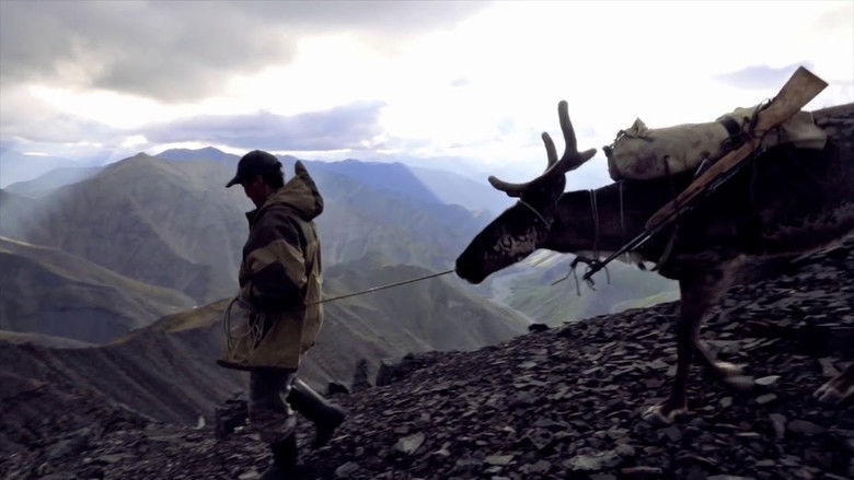 кадр из фильма Северный ветер бывает теплым