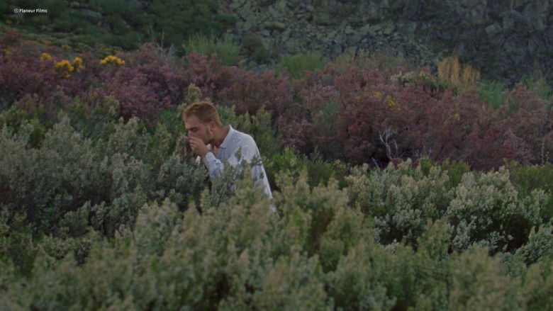 кадр из фильма Afterwater