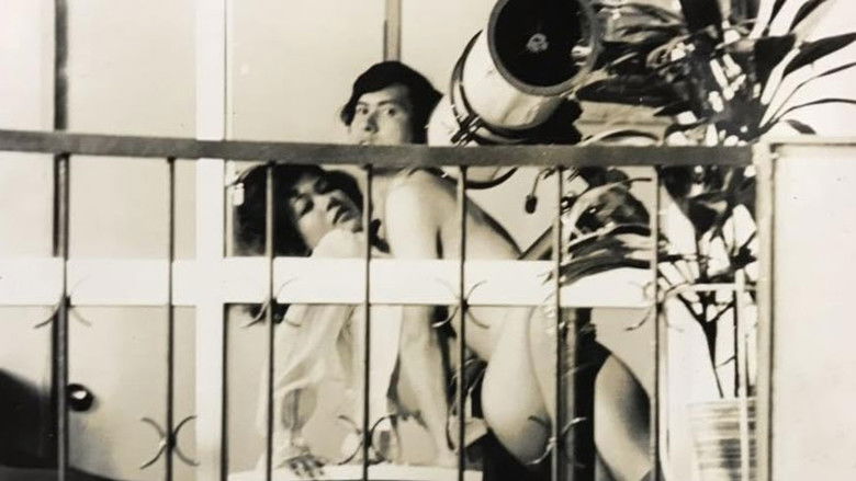 кадр из фильма 昼下りの情事　裏窓