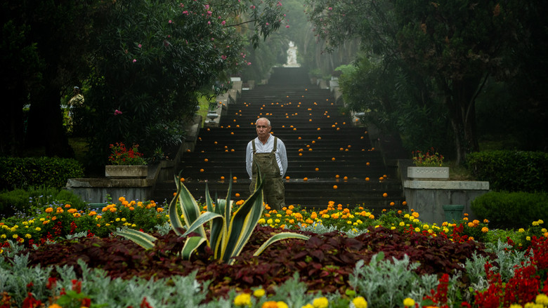 кадр из фильма Чебурашка