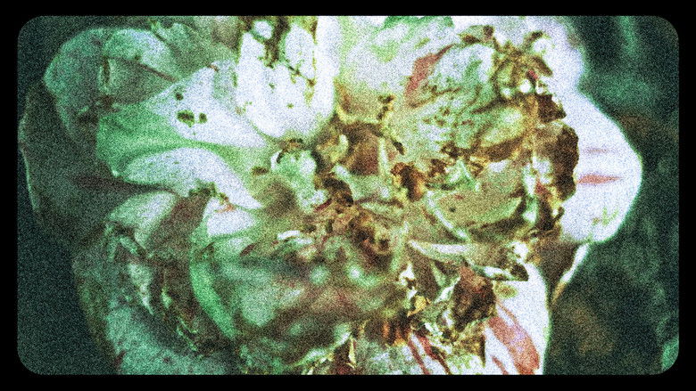 кадр из фильма Flores (III)