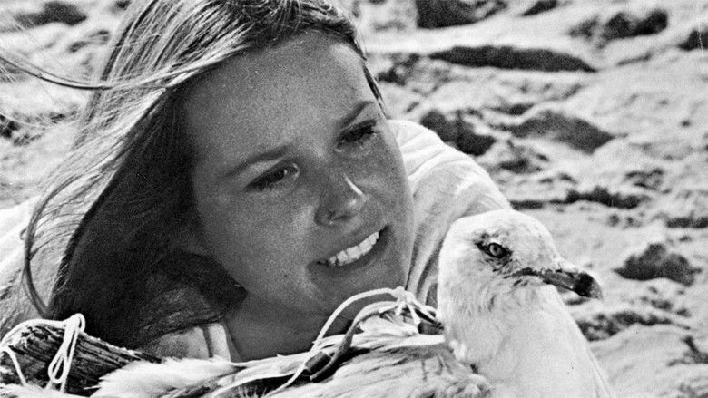 кадр из фильма Last Summer