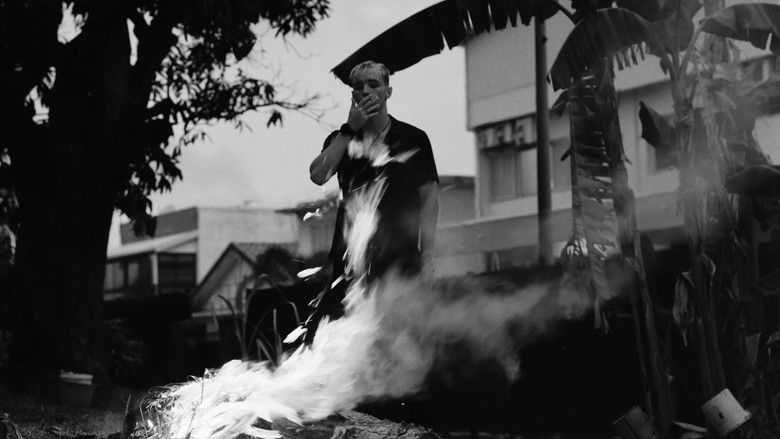 кадр из фильма Les Cendres Du Coeur