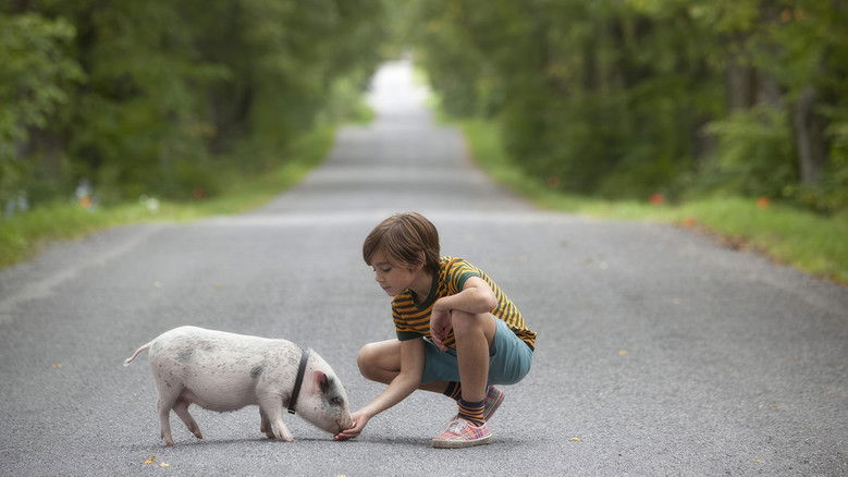 Hotell Gyllene Knorren - filmen