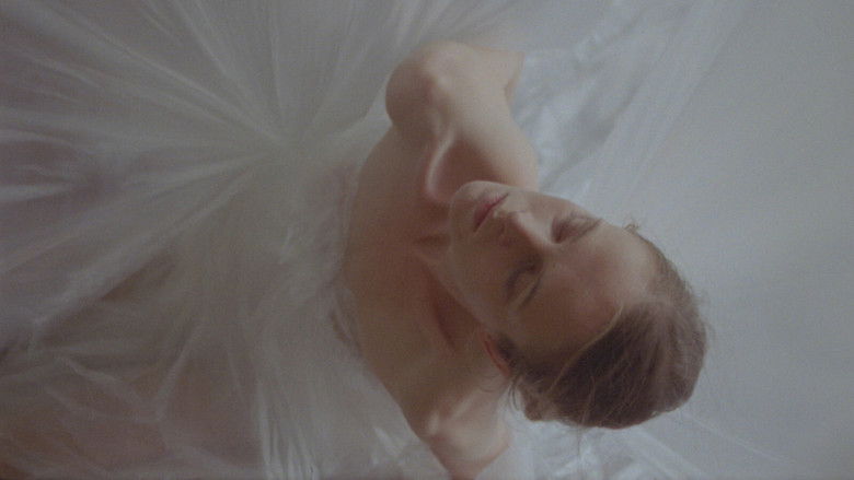 кадр из фильма Vymezení