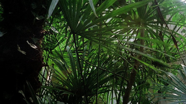 кадр из фильма Шепот во тьме