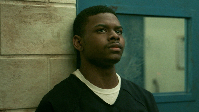 кадр из фильма Боско