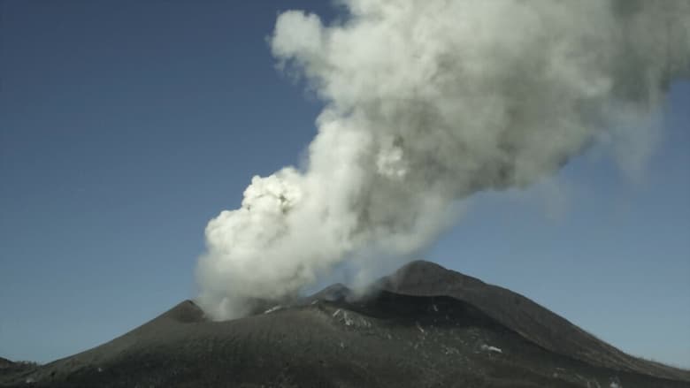 кадр из фильма Survivre aux catastrophes, les stratégies de la nature