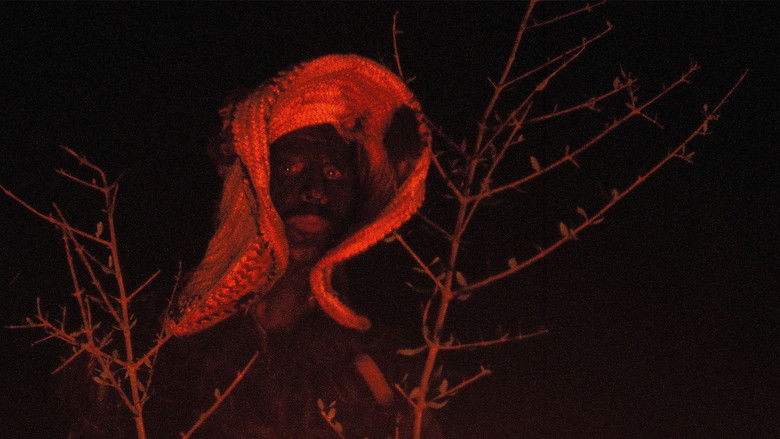 кадр из фильма Jajouka, quelque chose de bon vient vers toi