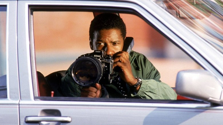 кадр из фильма Дело о пеликанах