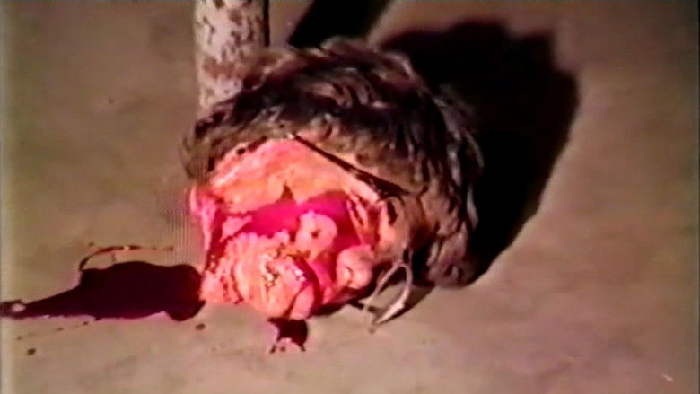 кадр из фильма Hallucinations