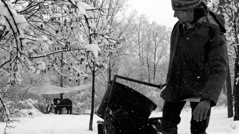 кадр из фильма Un piccolo spettacolo